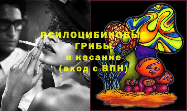 молекула духа Александровское