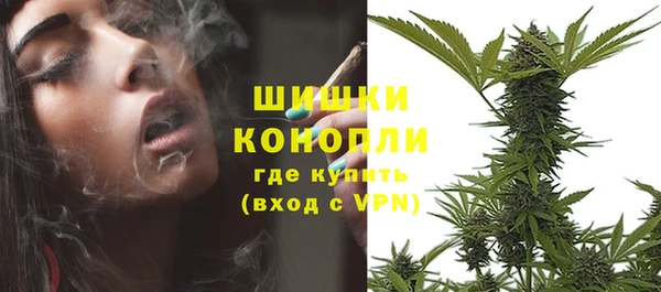 PSILOCYBIN Лихославль