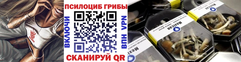 kraken вход  нарко площадка как зайти  Псилоцибиновые грибы Cubensis  Кызыл 