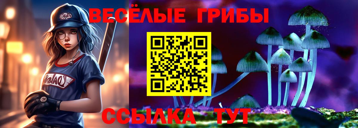 Галлюциногенные грибы GOLDEN TEACHER Кызыл