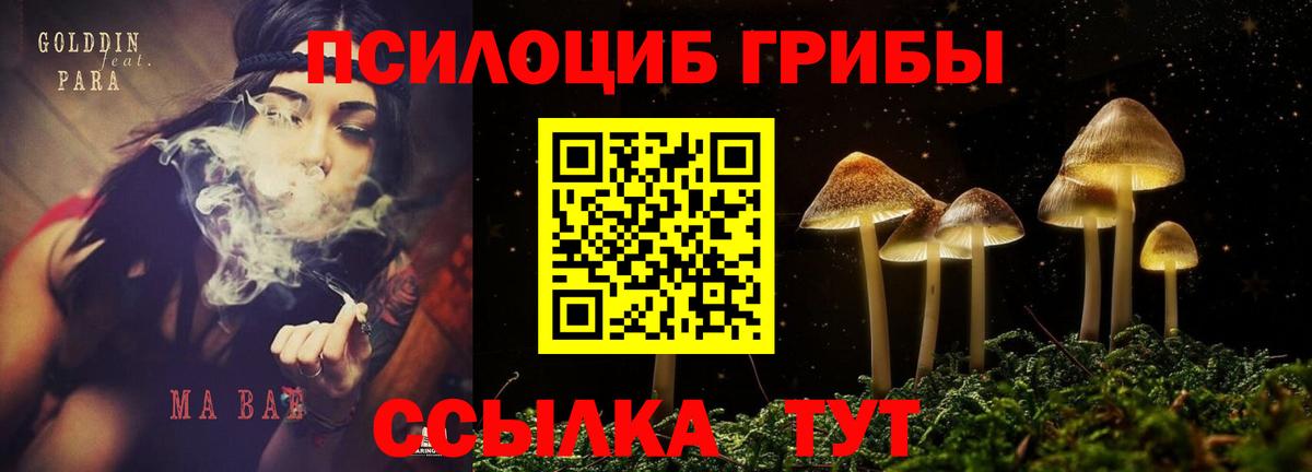 Галлюциногенные грибы мухоморы  Псилоцибиновые грибы мицелий  Кызыл  Вход с VPN 